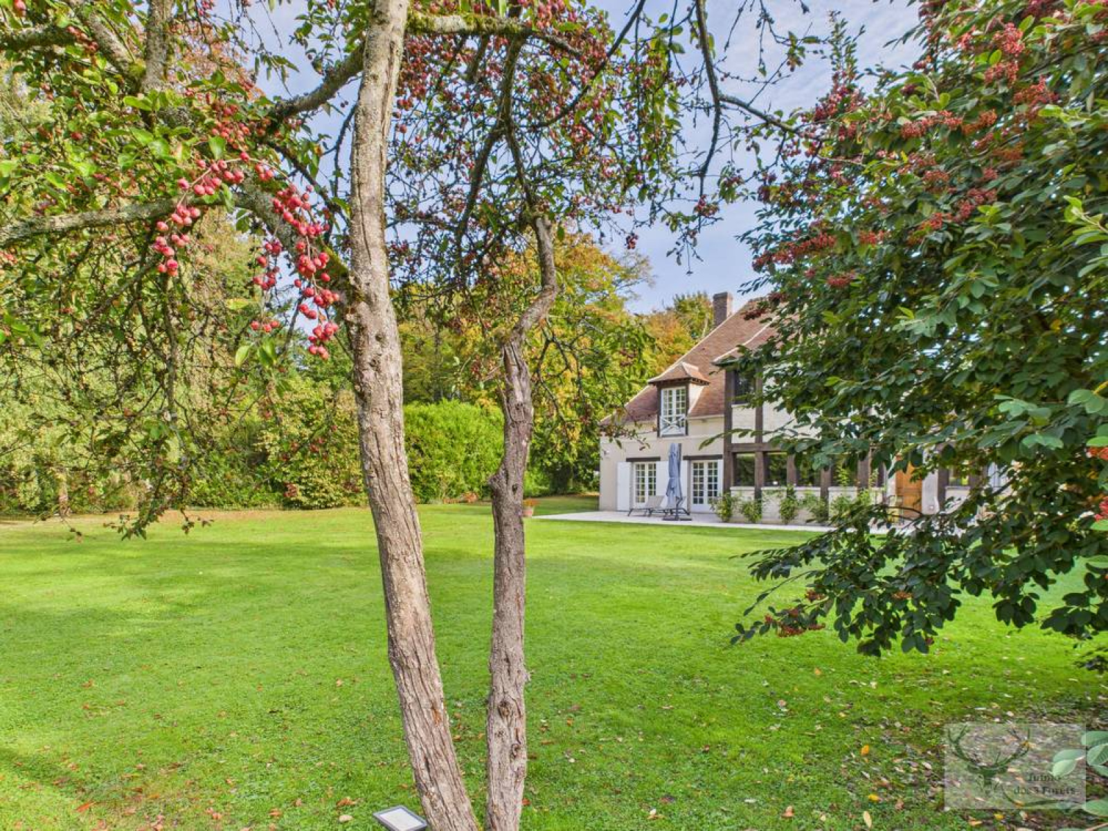 Image_3, Maison, Chamant, ref :821