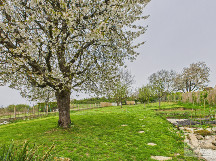 biens/1/7ab17cd6344da8b79291ec0a6e9d4984/photo_d9427e47e57aae4bdac204ebef7e2cf2.jpg